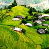 Hoàng Su Phì hoangsuphi