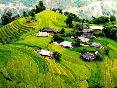 Hoàng Su Phì hoangsuphi