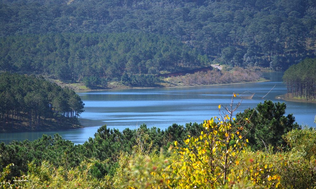 Tranquility at Tuyen Lam Lake