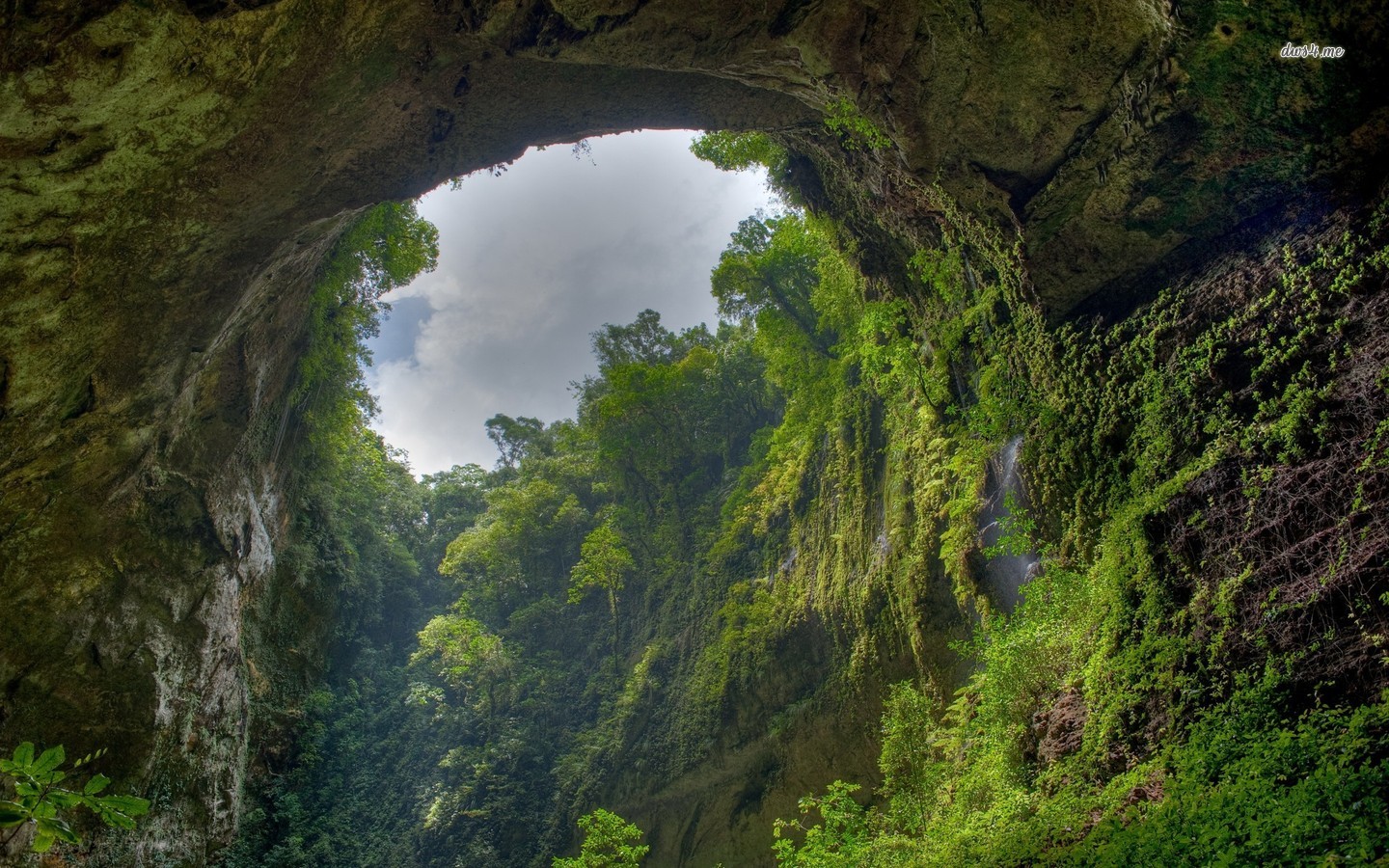 Quang Binh opens up world's biggest cave to tourists