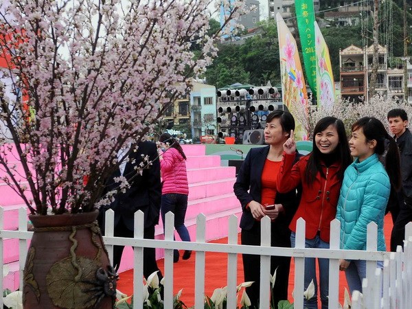 Ha Long hosts annual sakura festival