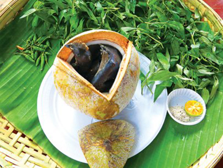 Go to Ben Tre to enjoy silkie steamed with coconut juice and chili