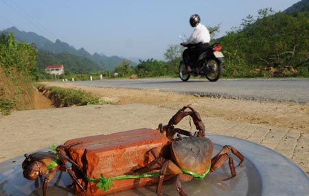 Drive-through dining, Vietnam style