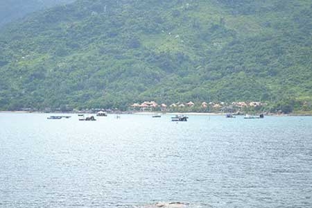 ban dao son tra 2