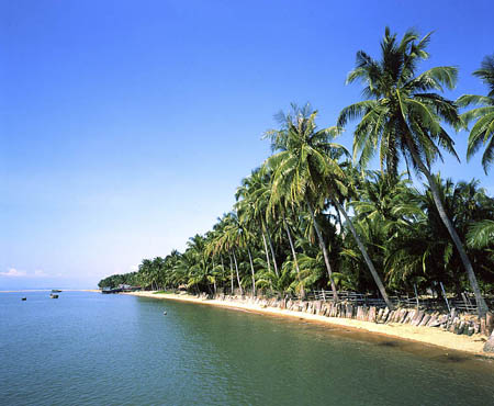 Ninh Chu beach- one of the most beautiful beaches in Vietnam