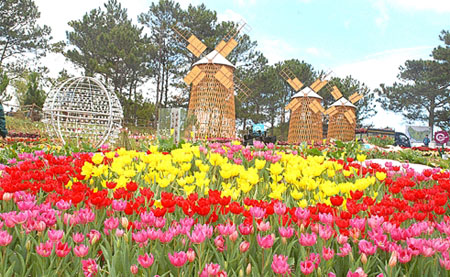 Myriad activities to be held during Da Lat tourism week