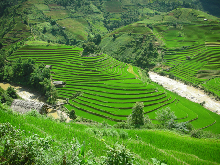 Yen Bai prepares to show off terraced fields to tourists