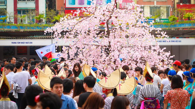 Japanese cherry blossom festival ready to bloom in Ha Noi 