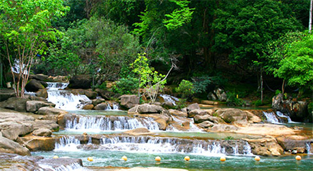 The world of flowers in Yang Bay