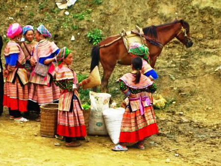 cao son market 3