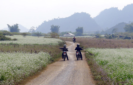 moc chau