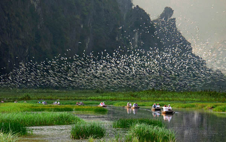 Tourists feel at home in Ninh Binh