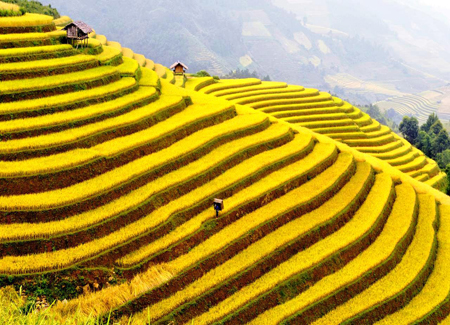 Sapa tourist sites nominated for Vietnam’s records