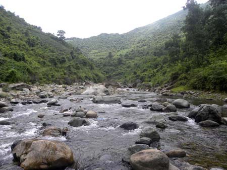 Explore the magic of rocky stream at the foot of Tam Dao