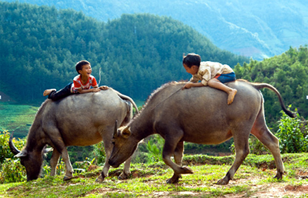 The beautiful smiles of mountain children