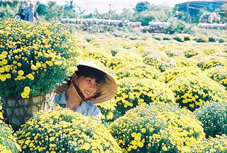 Ornamental plant village