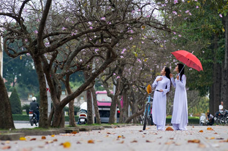 Hanoi improves tourist environment