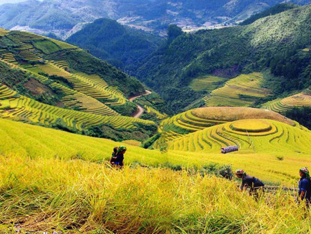  Three tourist attractions in Sa Pa to be nominated as Viet Nam’s records 