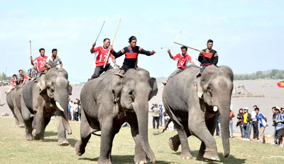 Elephant race marks National Tourism Year