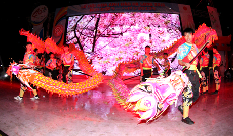 Sakura Festival to be opened at Ha Long Park