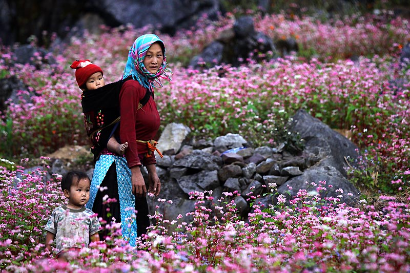 Northern mountainous regions attract amateur photographers