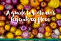A guide to Vietnam