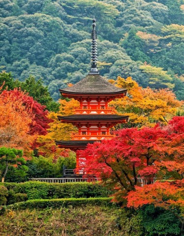 Chùa Thanh Thùy – Vẻ đẹp tinh tế giữa lòng Kyoto cổ kính