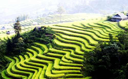 More visitors swarm to Lao Cai province