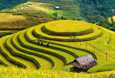 Top 6 trải nghiệm nhất định bạn phải thử khi đến du lịch Sapa