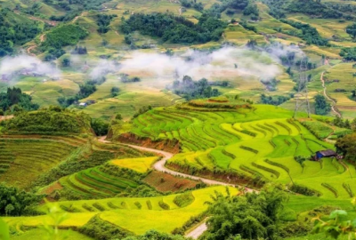 Ngây ngất trong hương mạ non khi đi du lịch Sapa tháng 3