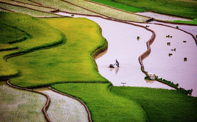 Scintillating sight: waterlogged fields in Vietnam’s northern highlands - 1