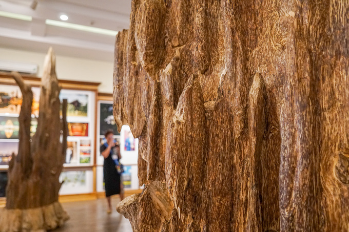 Where visitors can smell, touch, learn about agarwood in Nha Trang - 2