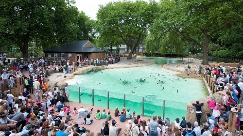 Sở thú ZSL London là nơi sinh sống của hơn 17.000 con vật. Ảnh: ZSL